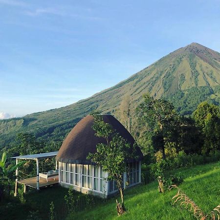 Manulalu Jungle Hotell Bajawa Eksteriør bilde