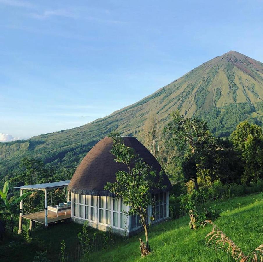 Manulalu Jungle Hotell Bajawa Eksteriør bilde